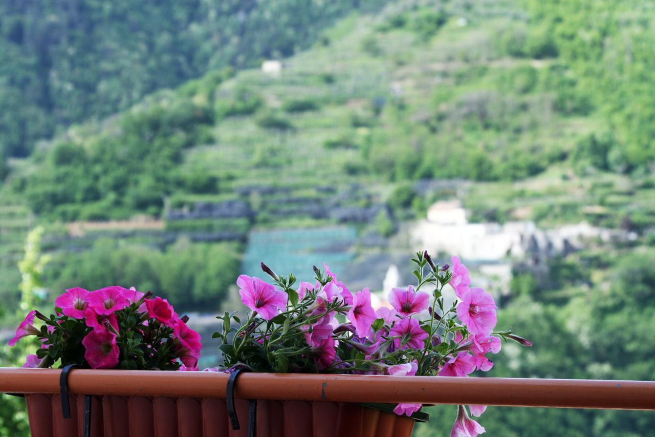 Tra I Monti Bed and Breakfast Tramonti Eksteriør billede